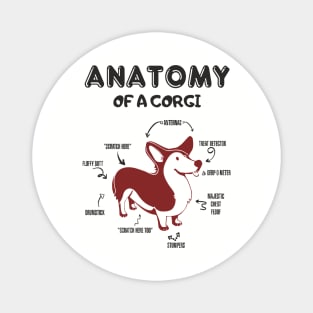 Anatomy of a Corgi Funny Cute Dog Chart Magnet